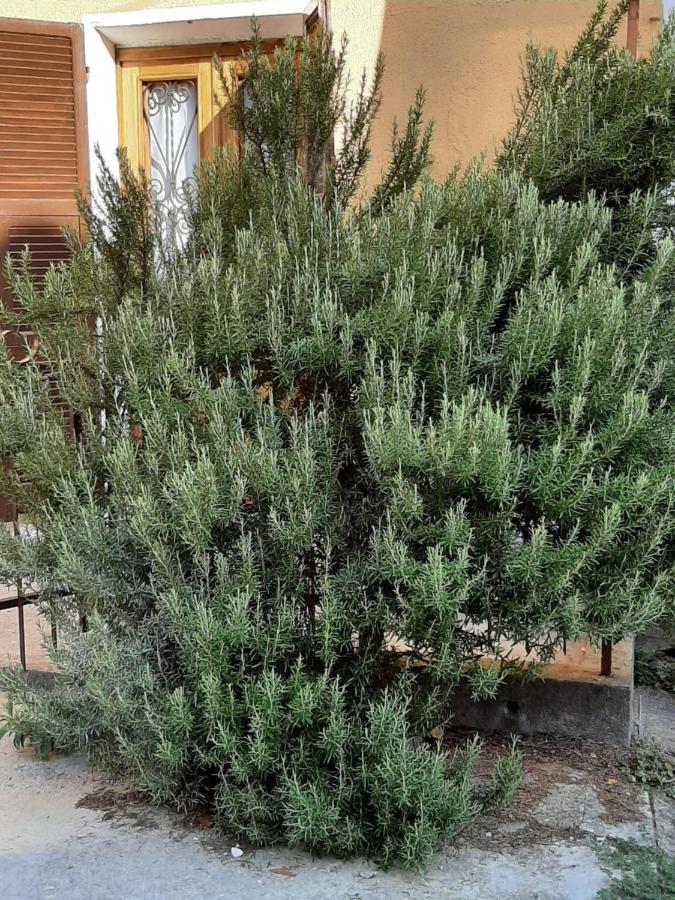 Holiday home Il Rosmarino *